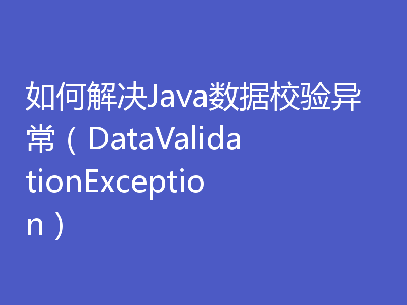 如何解决Java数据校验异常（DataValidationException）