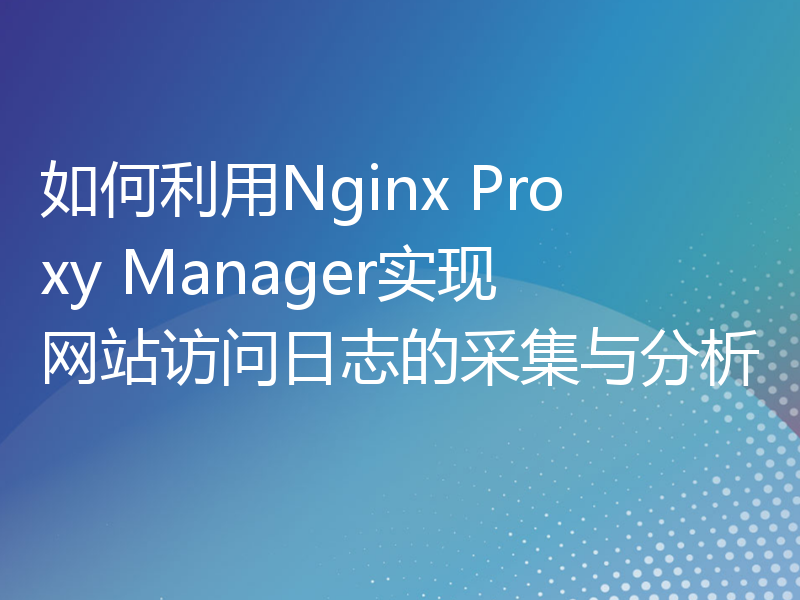 如何利用Nginx Proxy Manager实现网站访问日志的采集与分析