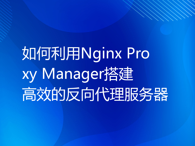 如何利用Nginx Proxy Manager搭建高效的反向代理服务器