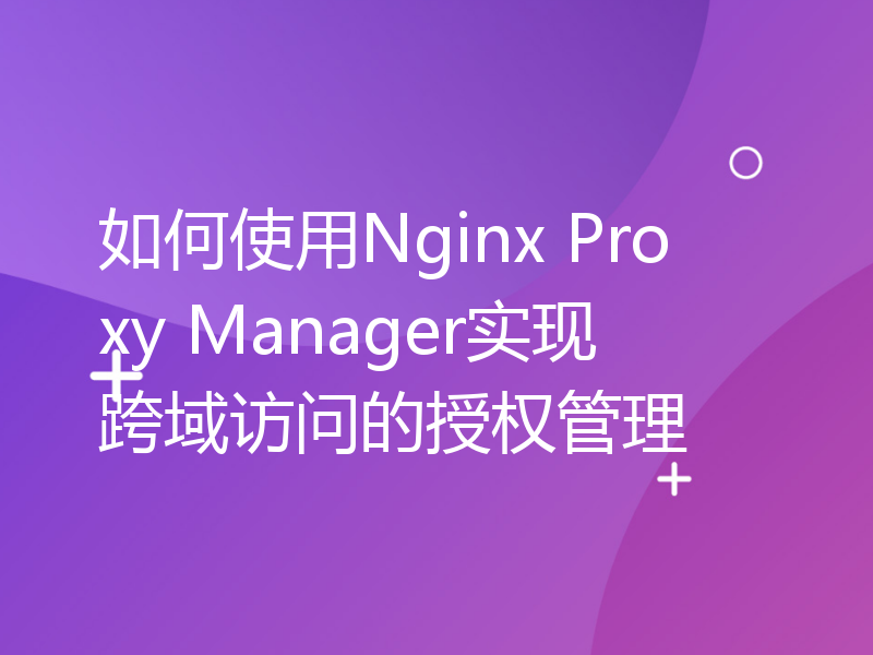 如何使用Nginx Proxy Manager实现跨域访问的授权管理