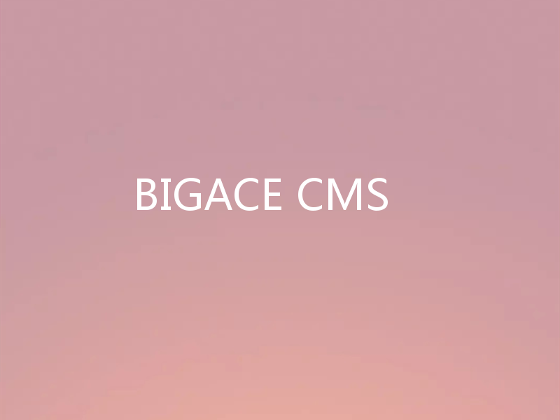 BIGACE CMS
