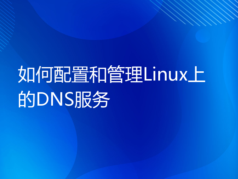 如何配置和管理Linux上的DNS服务