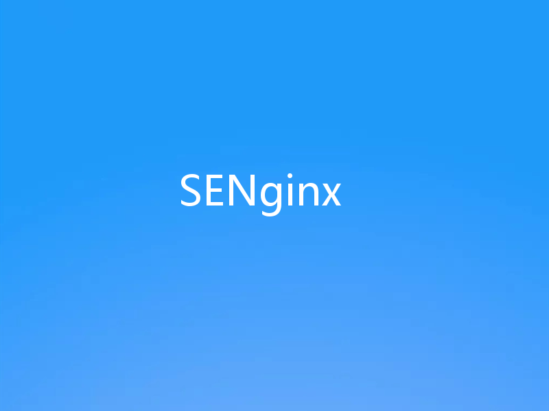 SENginx